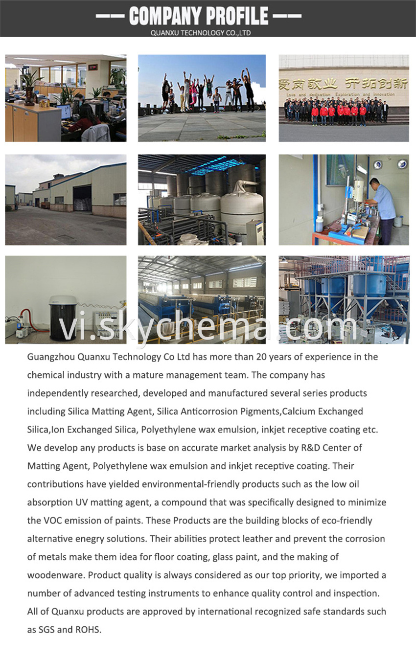 Company Profile 5